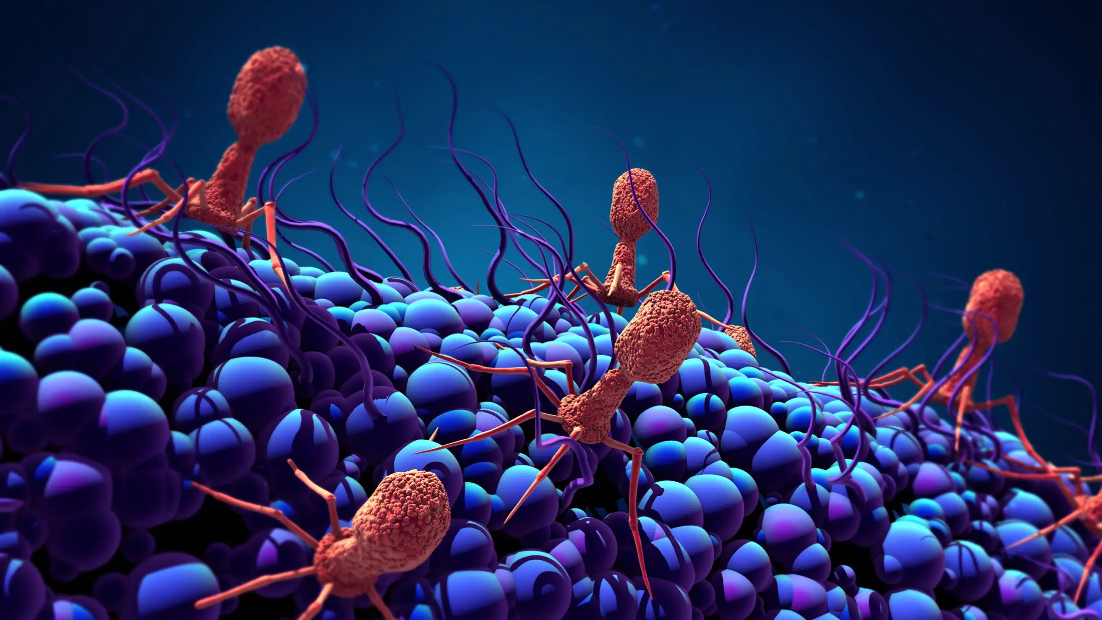 Bacteriophage Illustration
